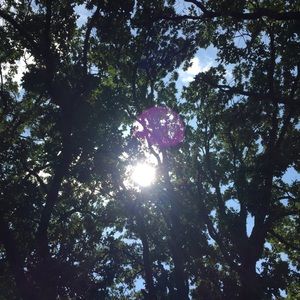 Meet your Posher, Mia